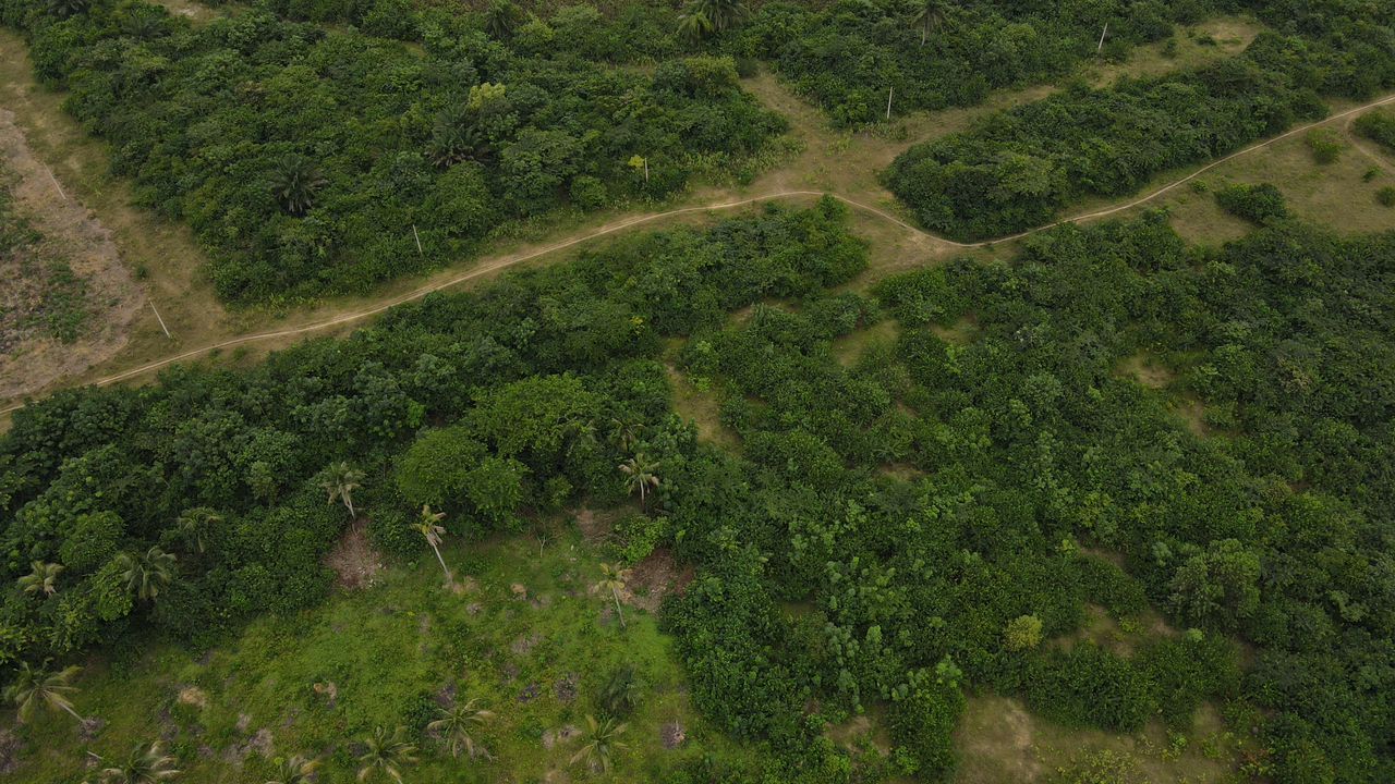 Vend une parcelle 200ha