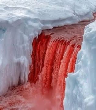 LE MYSTÈRE DE LA NATURE