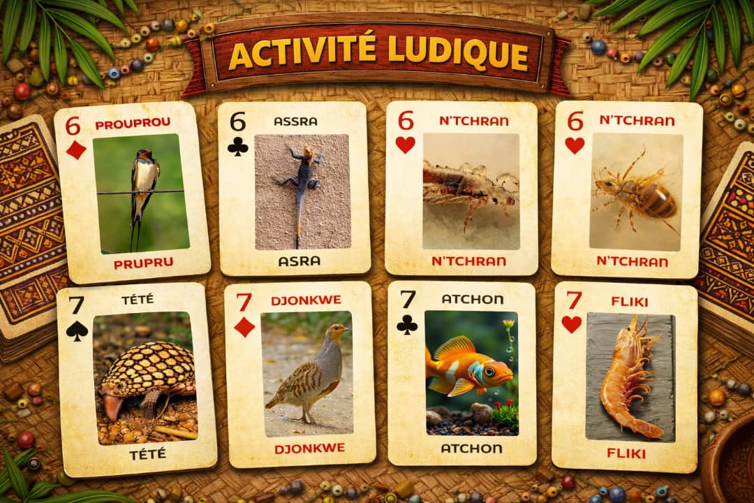 JEU DE CARTE ACTIVITES LUDIQUES ATCHAN